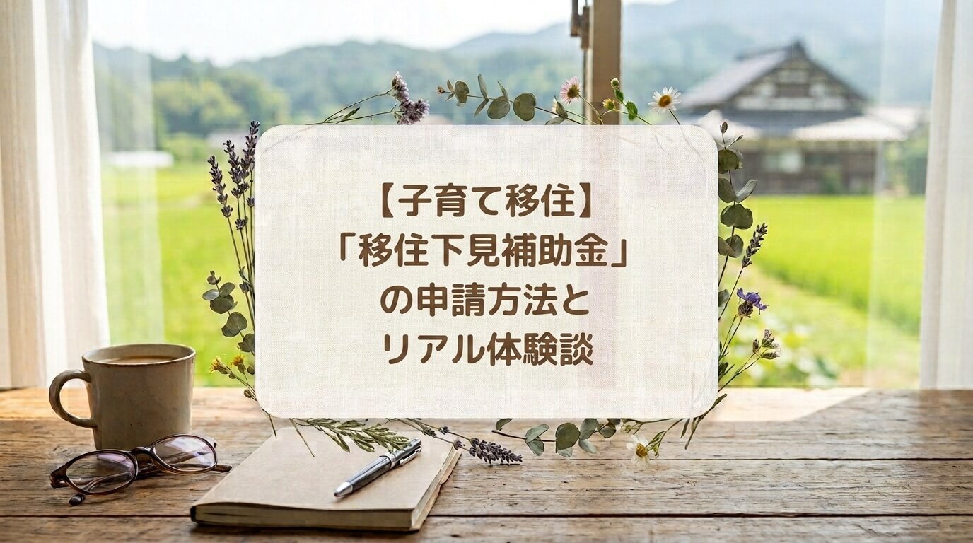 移住補助金制度